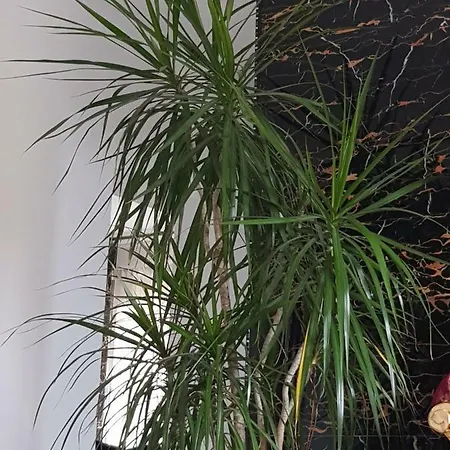 Frankenherz - Romantik Bayern Apartment Wiesentheid